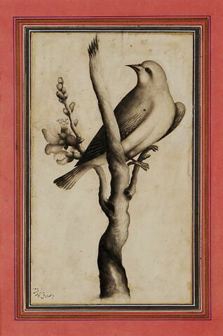 Oiseau perché sur une branche, image 4/4