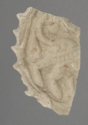 Fragment de couvercle de cruche discoïdal