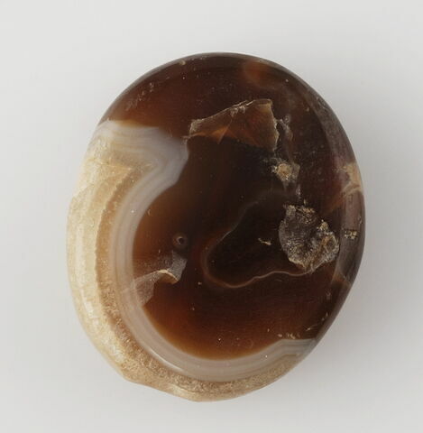 Perle ovale de section aplatie, image 1/1