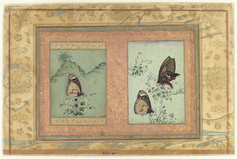 Papillons (petit monarque ; petit monarque et "common rose") parmi des fleurs (page d'album)
