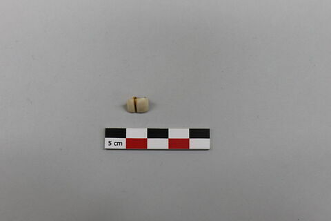 prothèse dentaire, fragment, image 1/1
