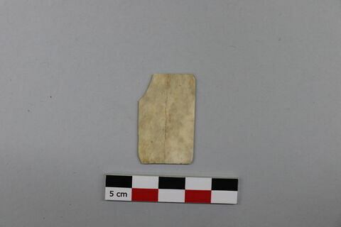 plaquette, fragment