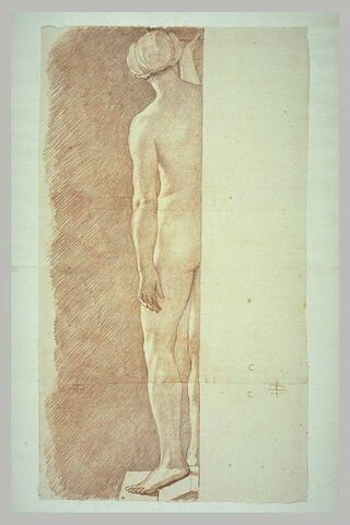 Femme nue, debout vue de dos, image 2/2