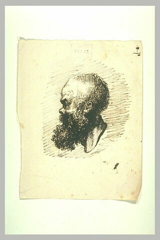 Profil d'homme chauve et barbu, image 1/1