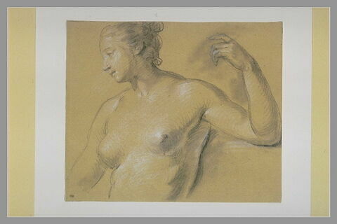 Buste d'une femme nue, le bras gauche levé et replié, image 1/1