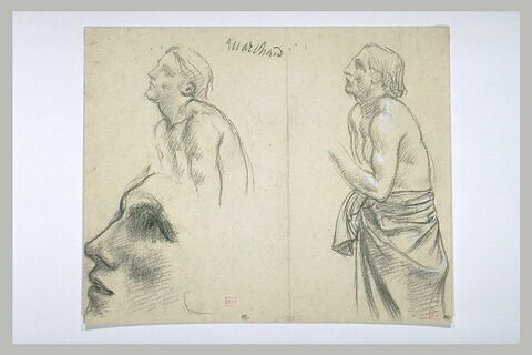 Feuille d'études d'un homme à demi nu, de profil à gauche, la tête levée