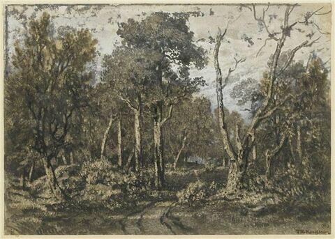 Le chêne brisé, dans la forêt de Fontainebleau, image 1/2