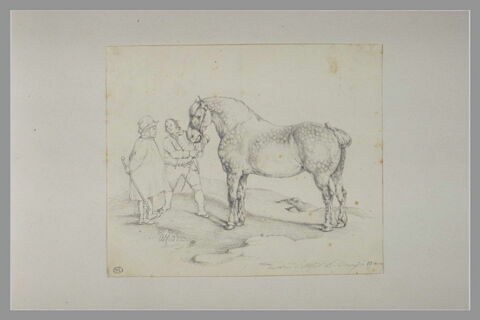 Paysan et maquignon examinant un cheval pommelé, image 1/1