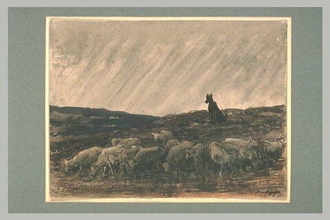 Chien de berger surveillant un troupeau de moutons