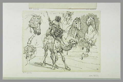 Arabe sur un dromadaire ; deux chevaux ; tête de cheval ; tête d'homme, image 1/1