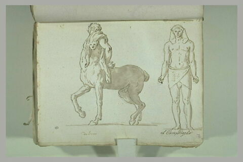 Le Centaure Furietti âgé, vu de trois quarts tourné vers la gauche..., image 2/2