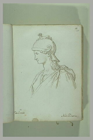 Buste de femme casquée, vue de profil tournée vers la gauche, image 2/2