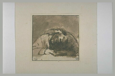 Femme endormie, la tête sur ses mains, assise à une table, image 1/1