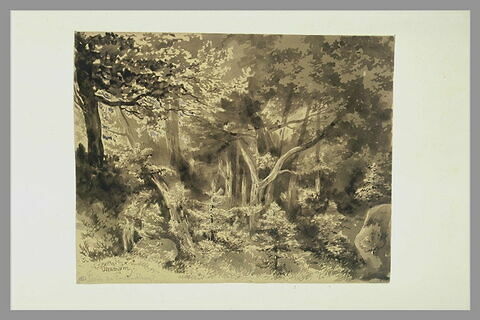 Paysage de la forêt de Fontainebleau, image 1/1