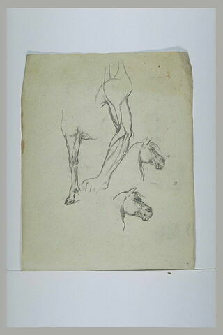 Têtes de chevaux, jambe gauche avant de cheval, et bras gauche d'homme