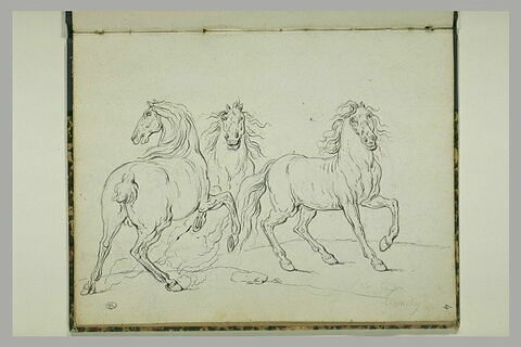 Trois chevaux, image 1/1