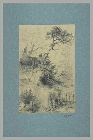 Etude d'arbres, et personnages dessinant dans un sous-bois, image 1/1