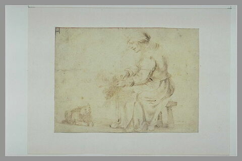 Femme assise, de profil, plumant une volaille devant un chat attentif, image 1/1
