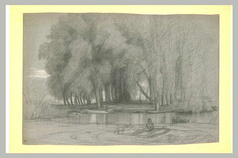Paysage avec de grands arbres au bord d'un étang, image 1/1