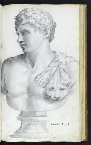 Statue : buste d'Hercule
