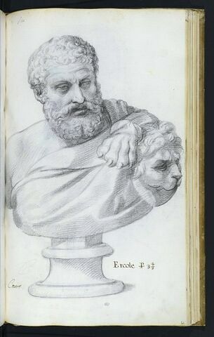 Statue : buste d'Hercule