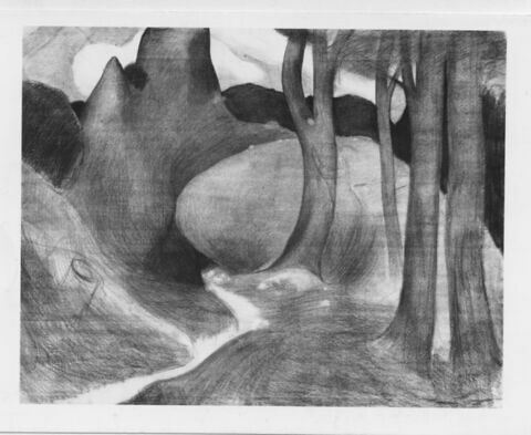 Petit chemin serpentant entre des arbres et des rochers, image 1/1