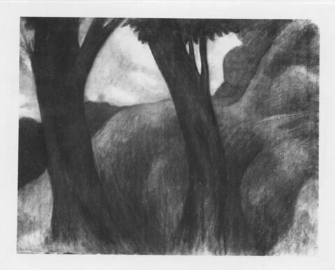 Paysage sombre : deux arbres se détachent sur une colline, image 1/1