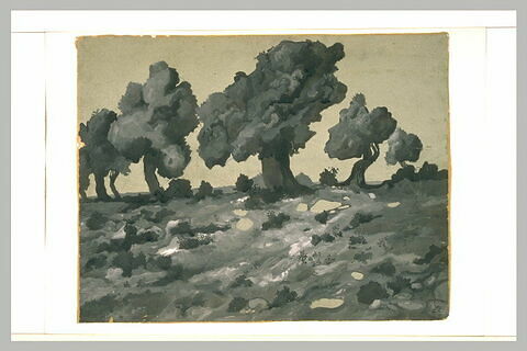 Cinq arbres au feuillage dense dans un paysage caillouteux