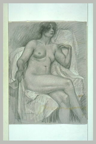 Femme nue, assise sur un fauteuil recouvert d'un linge blanc, image 1/1