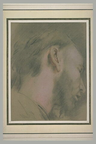 Tête d'homme barbu, de profil, vers la droite, regardant vers le bas, image 2/2