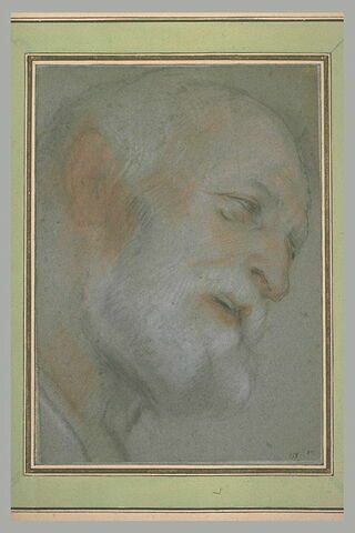 Tête de vieillard barbu, inclinée vers la droite, de profil, image 1/1