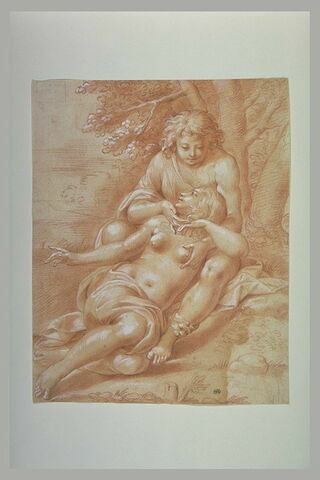 Vénus et Adonis, image 1/1
