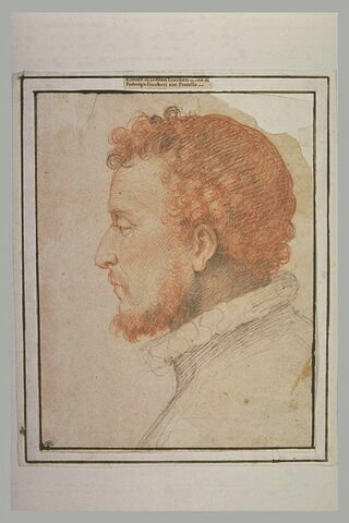 Portrait de Taddeo Zuccaro, de profil, image 1/1