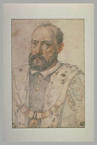 Portrait d'homme décoré de l'ordre de la Toison d'Or, image 1/1