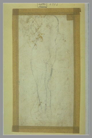 Etude d'un corps nu de femme, vu de dos, image 1/1