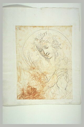 Jeune fille couronnée de fleurs, vue en buste ; sainte Madeleine, image 1/1