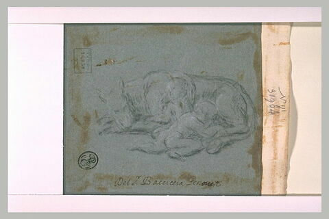 La louve nourrissant Romulus et Rémus, image 1/2