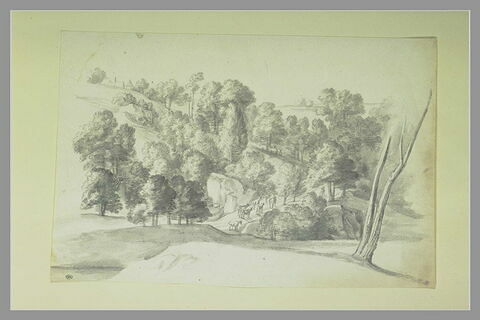 Paysage avec une route serpentant à travers des rochers et des arbres, image 1/1