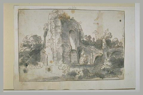 Ruines envahies de broussailles, image 1/1