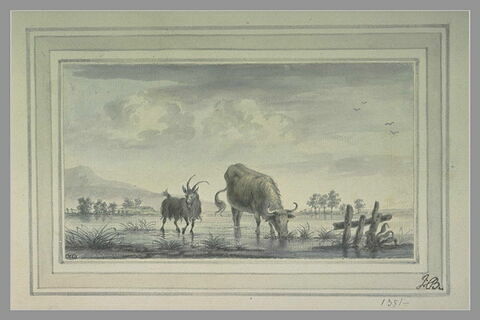 Bouc et taureau s'abreuvant devant un lac, image 1/1