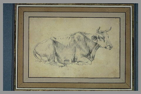 Vache couchée, tournée de profil à droite, les yeux clos, image 1/1