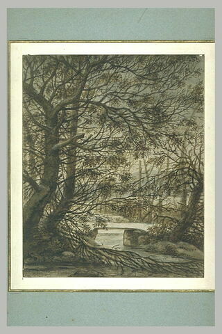 Sous-bois, en hiver, avec ruisseau et passerelle, image 1/1
