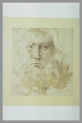 Une tête d'homme aux cheveux longs, de face, image 2/2
