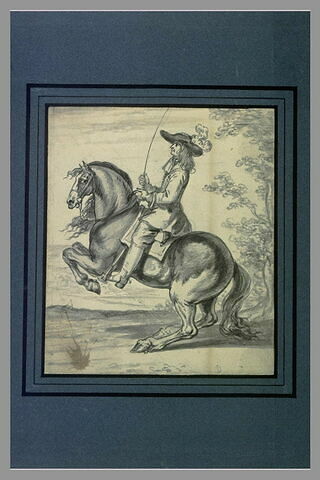 Un cavalier une cravache à la main, son cheval se cabre, image 1/1
