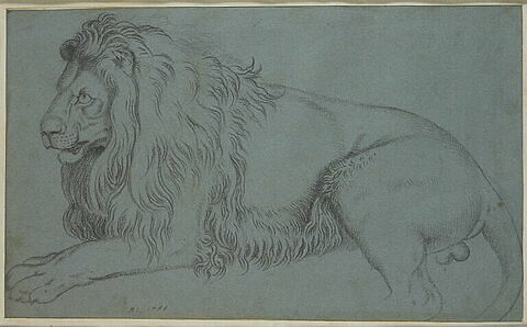 Un lion couché, tourné vers la gauche, image 1/1