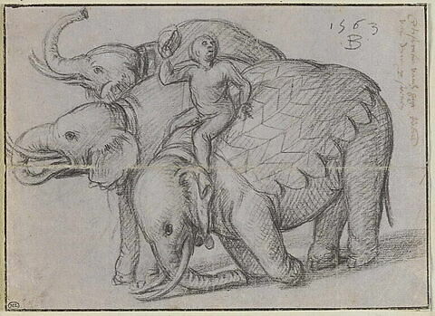 Trois éléphants tournés vers la gauche et leur cornac, image 1/1