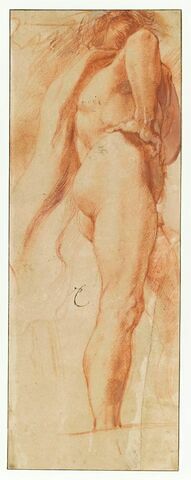 Etude d'homme nu, main droite sur la hanche, de dos, vu de dessous