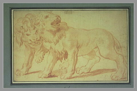 Deux lions marchant vers la gauche, image 1/1