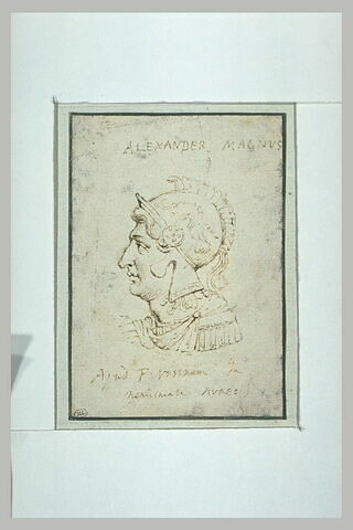 'Alexander Magnus' en buste, casqué, image 1/1