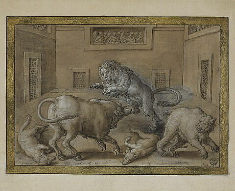 Combat d'un taureau contre un lion, un ours et deux loups